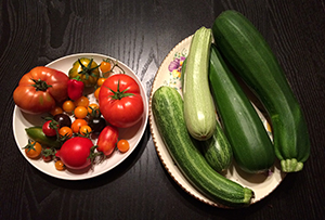Deep Summer Update – From Vineyards To Fields